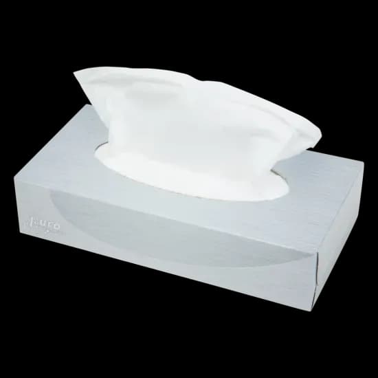 Facial tissues 2-laags — 40 doosjes à 100 doekjes | Schoonzaak